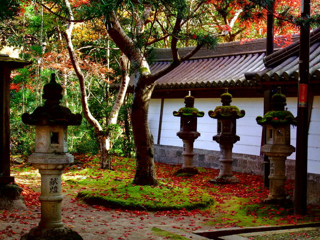 緑と紅が素敵でした。_西明寺