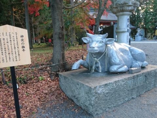 病気平癒の牛と言われている、撫牛_冨士御室浅間神社