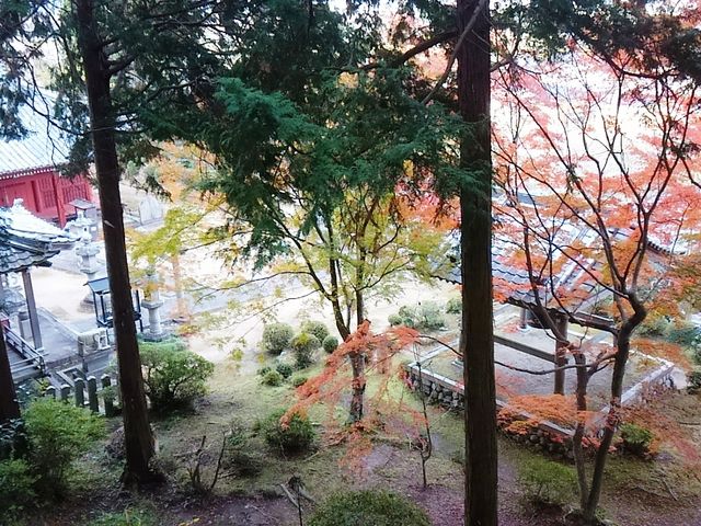 こぼらさんの常住寺の投稿写真1