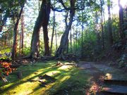 ポン助さんの赤猪岩神社の投稿写真5