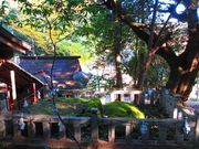 ポン助さんの赤猪岩神社の投稿写真7