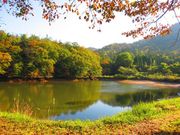 ポン助さんの赤猪岩神社の投稿写真9