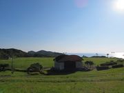 キヨさんの日向岬グリーンパークの投稿写真1