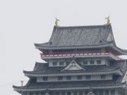 アリスさんの熱海城の桜の投稿写真1