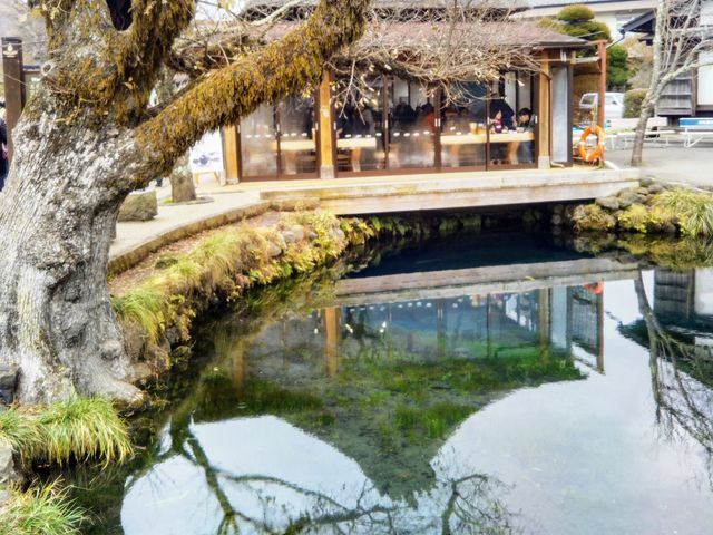 『池本茶屋』。_池本茶屋