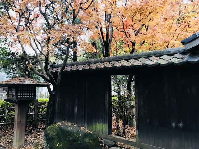 【江戸東京たてもの園〜天明家】玄関は長屋門という造りです_天明家(江戸東京たてもの園)