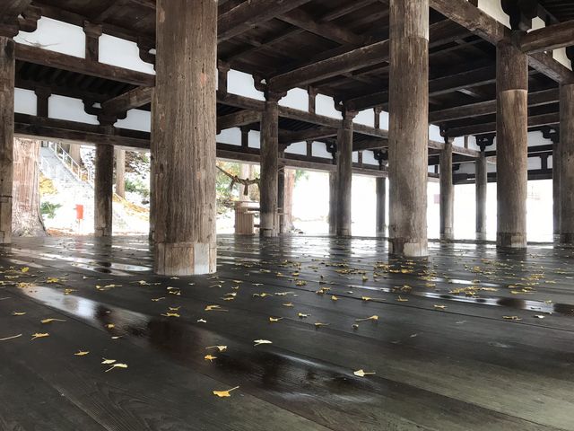 銀杏に彩られた長床_新宮熊野神社