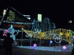 トシローさんのカルミアへの投稿写真1