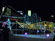 トシローさんのカルミアの投稿写真1