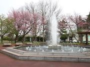 たかちゃんさんの義経公園の投稿写真3