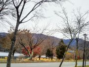 usaさんの小海公園の投稿写真1