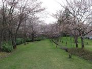 たかちゃんさんの旭山公園の投稿写真1