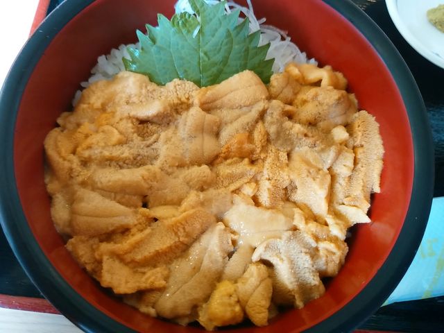 うに丼_お食事処 みさき