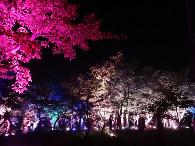 ときわ公園_ときわ公園