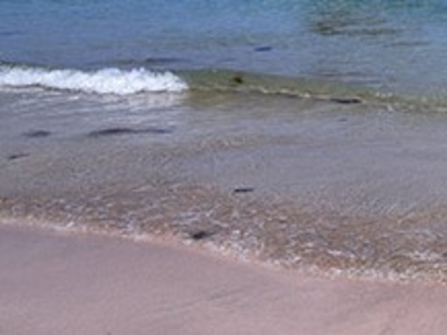 フルスピードさんの野首海水浴場の投稿写真1