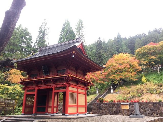 千光寺の五本杉