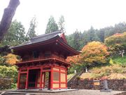 ギグスさんの千光寺の五本杉の投稿写真1