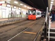 cinnamonさんの東京さくらトラム(都電荒川線)鬼子母神前の投稿写真1