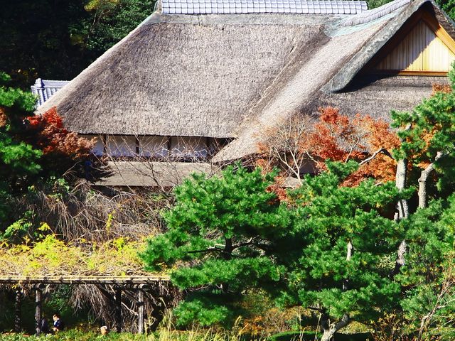 三渓園_待春軒