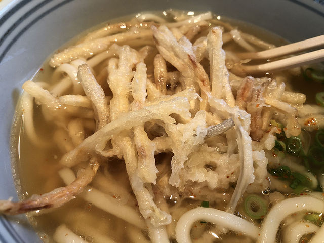 ごぼう天うどん_讃岐うどん 田