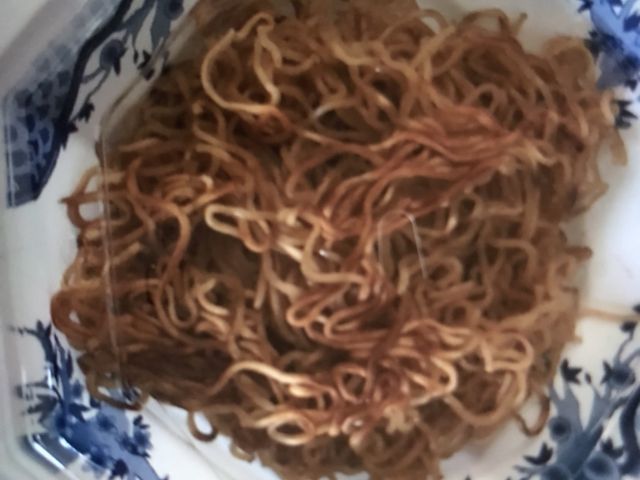 バーミヤン_バーミヤン 太田内ケ島店