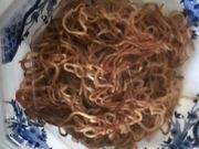ゆりさんのバーミヤン 太田内ケ島店の投稿写真1