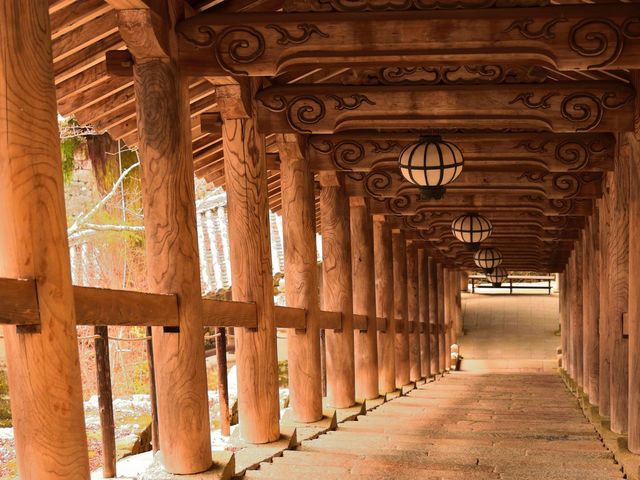 長谷寺_長谷寺(奈良県桜井市)