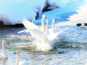 chikiさんの徳良湖の投稿写真3
