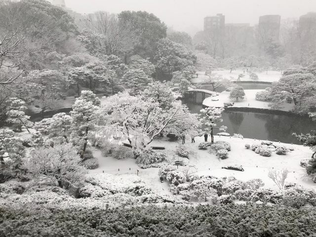 【六義園 藤代峠】雪の日の眺め_六義園 藤代峠