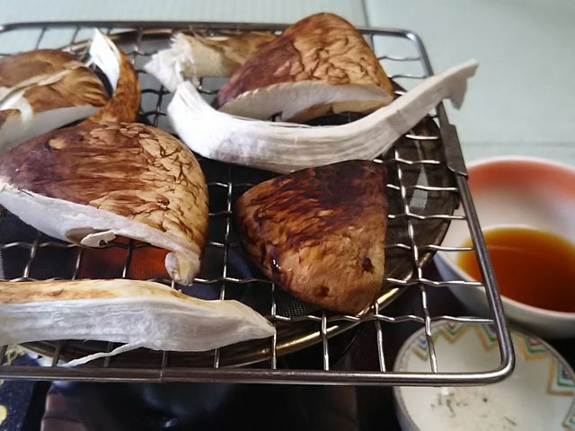 松茸_割ぽうさくら