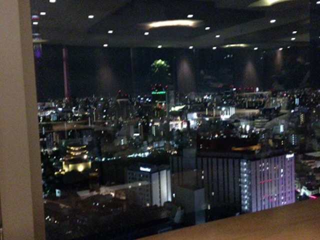 浅草の夜景。席によってはスカイツリーも見えるようです!_スカイグリルブッフェ 武藏