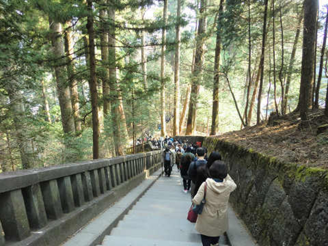 東照宮の奥の方です。_世界遺産日光の社寺
