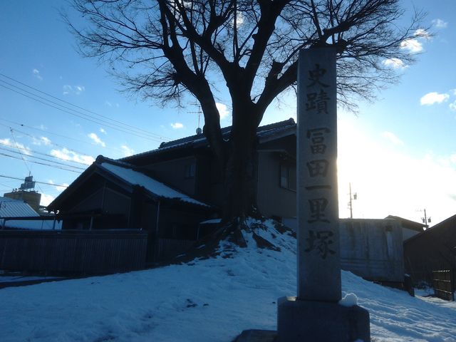 左塚には、大きな榎の木がありました。_冨田一里塚