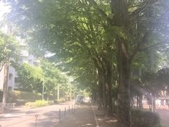 wakaさんのけやき公園への投稿写真1