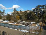 サビ猫さんの尾西グリーンプラザの投稿写真1