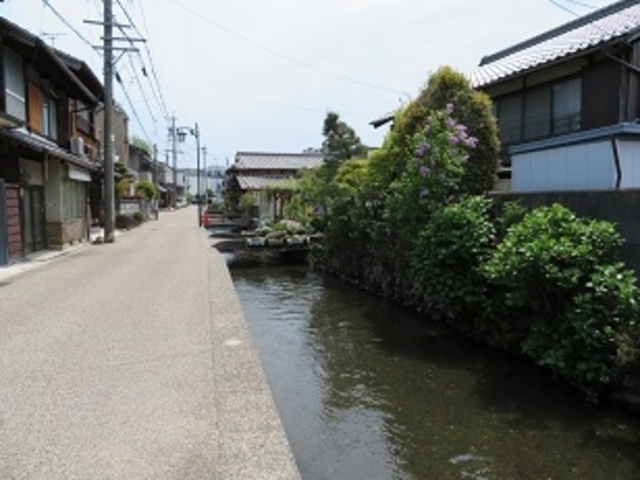 キヨさんの城下川(簗瀬水路)の投稿写真1