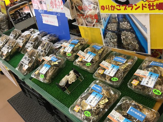 写真B_道の駅 太良 たらふく館
