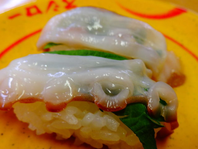生たこ_スシロー 佐賀兵庫店