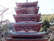 こぼらさんの海住山寺五重塔の投稿写真1