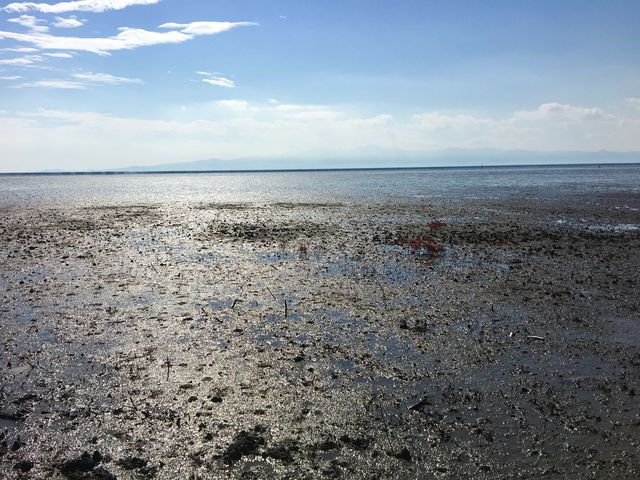poporonさんの有明海観光遊漁船の投稿写真1
