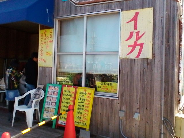 入口_イルカ