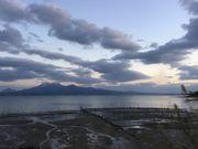 poporonさんののり養殖の投稿写真1