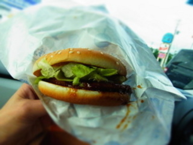 息子も大好きなてりやきバーガー☆_マクドナルド綾瀬店