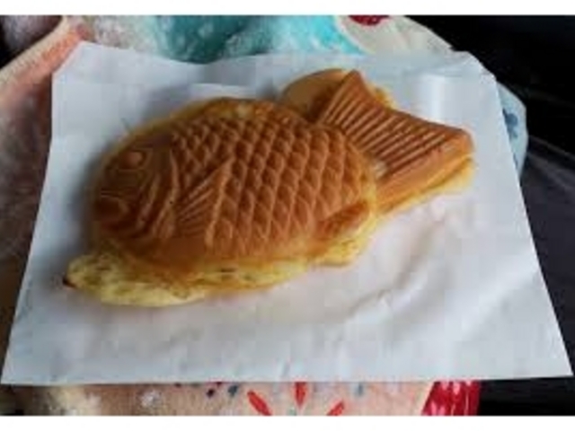 たい陽_たい陽