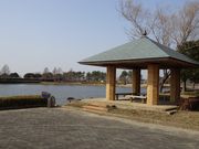 坊ちゃんさんのかわち水と緑のふれあい公園の投稿写真1