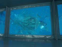 なつさんのトップマリン残波への投稿写真1