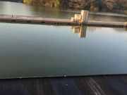 Kuda12さんの等々力緑地釣池の投稿写真1