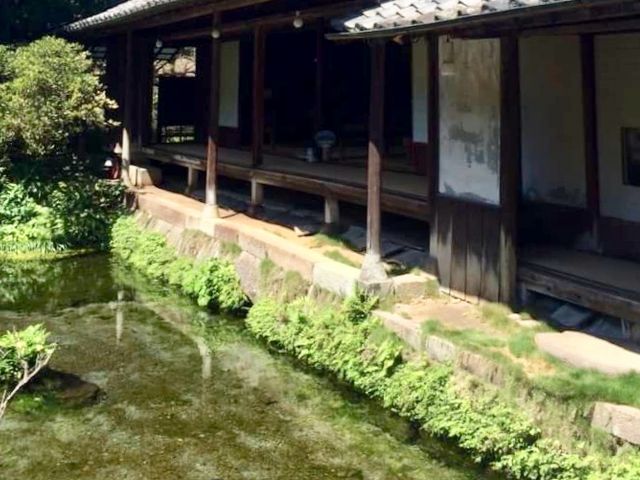 しまばら水屋敷_しまばら水屋敷