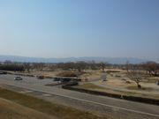 サビ猫さんの国営木曽三川公園ワイルドネイチャープラザの投稿写真2