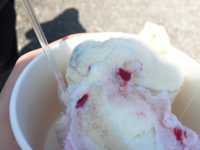 ジェラート_飯田牧場アイスミルク・ショップ